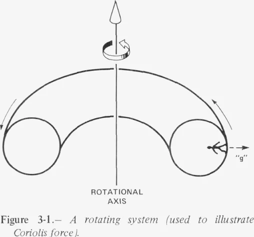Sketch of a torus cross-section on a vertical rotation axis, with a small figure on the outer floor and an arrow labelled g pointing outward